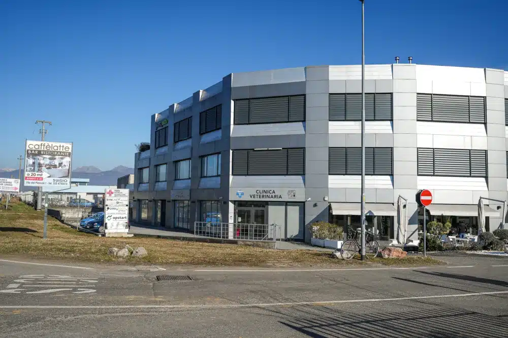 Veduta esterna dell'edificio che ospita il poliambulatorio Vielle a Suisio